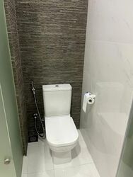 The Hillier (D23), Apartment #587592841